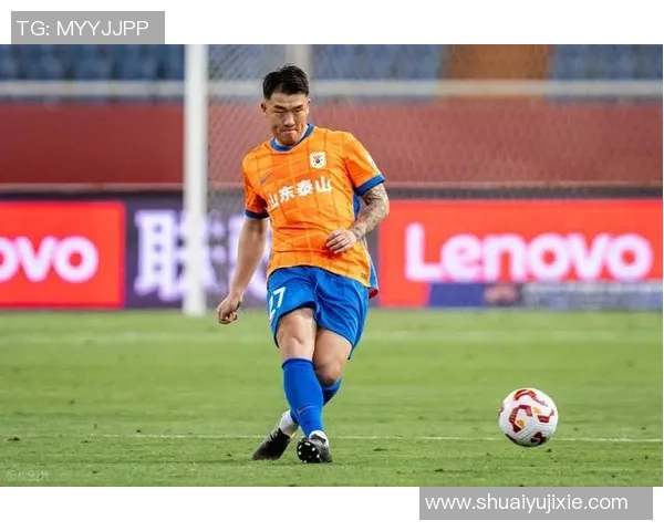 wzc足球：探索中国足球新风潮与未来发展潜力的深度分析与展望