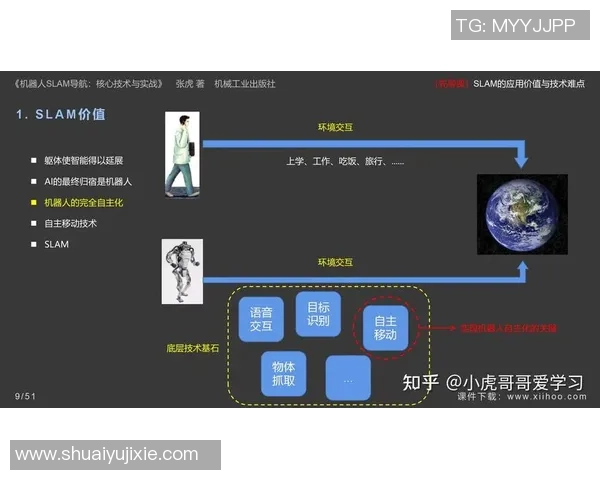 排球战术解析:西安排球队如何构建高效防反体系与实战应用 排球战术解析:西安排球队如何构建高效防反体系与实战应用